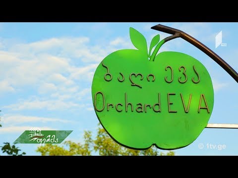 #ფერმა ლანჩხუთელი ბიჭის ბიზნესგეგმა -  ევროპული გრანტით ოკამში გაშენებული „ევას ბაღი“